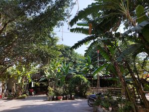  at Chookie's Hideaway in Ninh Binh