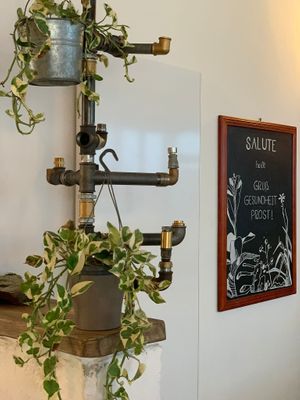 Seit Oktober 2022 mit neuem Flair wieder für dich da. at Salute Vegetarische & Vegane Küche in Mainz