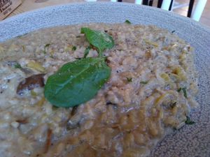 risotto at Salute Vegetarische & Vegane Küche in Mainz