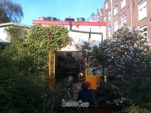 Garden and bar at MKZ in Amsterdam