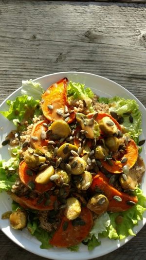 Salad of the day at Skip Garden Kitchen in London