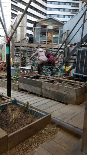 bit of exercise in the garden at Skip Garden Kitchen in London