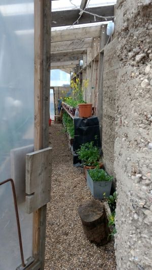 herbs at Skip Garden Kitchen in London