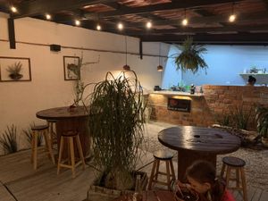 Interior at El Arbol Taqueria Vegetariana in Puebla