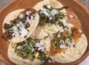 Taquitos veganos de Tinga, Chorizo, Pibil y Rajitas. Exquisitos!  at El Arbol Taqueria Vegetariana in Puebla