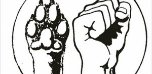 liberación animal at Mi Cabra Vegana in Madrid