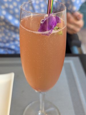  at NovaPizza Vegan Kitchen in Edinburgh