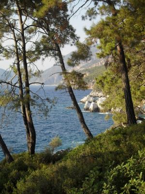 Surrounded by pine trees which helps when it is really hot! at Yuva Eco Centre in Fethiye