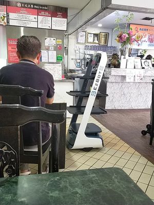 Friendly robot server used for light plates at Nature Vegetarian Delights 大自然素食 - Upper Serangoon in Northeast Singapore