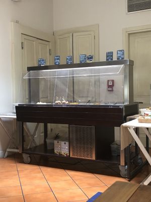 Lunch Buffet at Flora in Verona