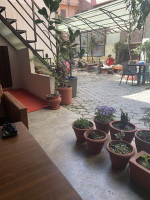 Nice botanical patio off the main road.  at Loving Heart in Kathmandu