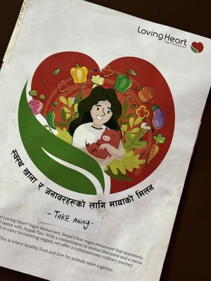   at Loving Heart in Kathmandu