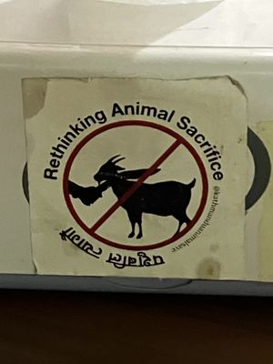   at Loving Heart in Kathmandu