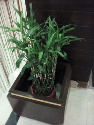 Probably the best vegan restaurant I've been in, they have vegan everything and you might not know it's vegan if you don't read it first somewhere. Loving Heart definitely brought the love.  at Loving Heart in Kathmandu