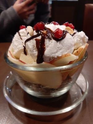 Ice cream with cookies, apples and chocolate sauce😍 at Loving Heart in Kathmandu