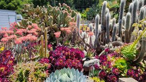 Garden at Big Sur Bakery in Big Sur