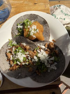 Gran variedad de tacos   at Vegetal - temporarily closed in Mexico City