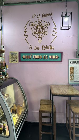 Dining room  at Vegetal - temporarily closed in Mexico City