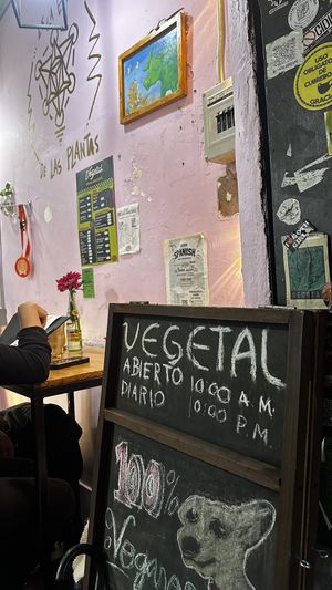 Small but delicious   at Vegetal - temporarily closed in Mexico City