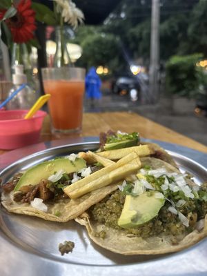 Delicious tacos  at Vegetal - temporarily closed in Mexico City