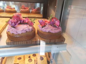  at Flora and Fauna in Fremantle