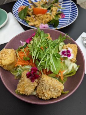 Tofu salad at Flora and Fauna in Fremantle