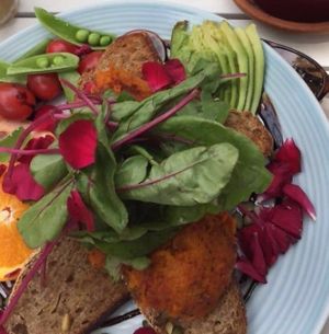 Pumpkin hummus at Flora and Fauna in Fremantle