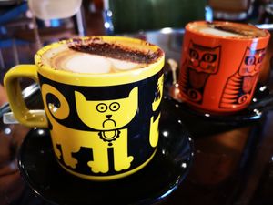 Oat Lattes at Flora and Fauna in Fremantle