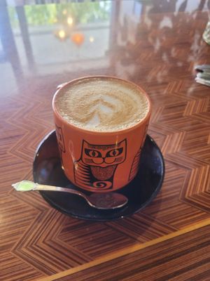  at Flora and Fauna in Fremantle