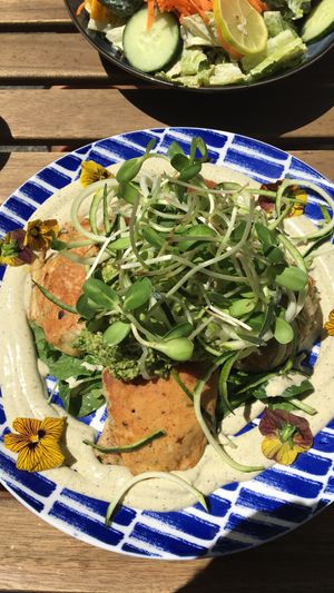 Zucchini Fritters at Flora and Fauna in Fremantle