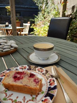 vegan berry cake at Oats Healthy Living Store in Brixham