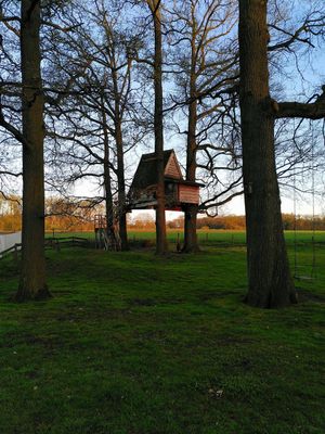 The treehouse where we spend 2 nights at Erve Veldink in Haarlo