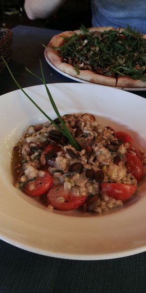 Vegan risotto with mushrooms (porcini mushrooms) at Urwis House in Jastarnia