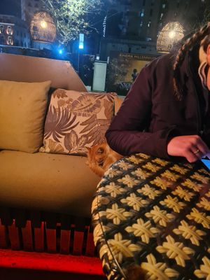  at Chakra Indian Fusion in Tirana