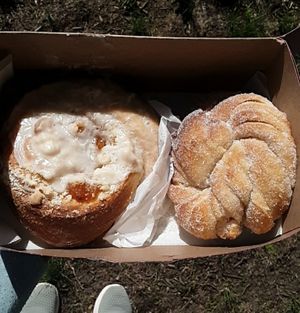 Warm, fresh-out-of-the-oven (V) Apricot Crumble Bun and (V) Cardamom Twist at Goldenrod Pastries in Lincoln