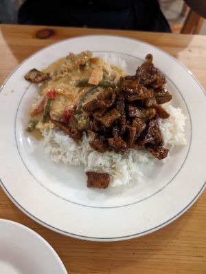 2 option w/rice. Crispy Soy & Tofu Curry at Blossoming Lotus in Newtown