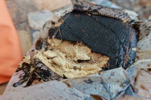 black garlic cashew cheese from fermaggio  at Vegan Store Stall 83 in Rome
