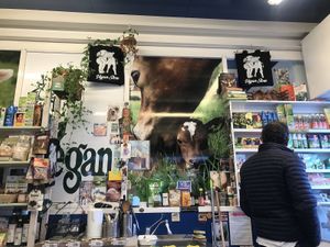 So frikin cute!  at Vegan Store Stall 83 in Rome