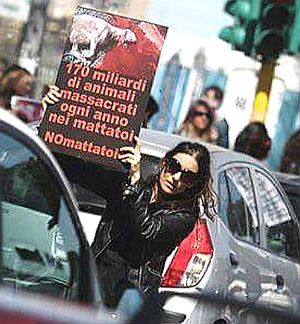 Vegan Activism means showing the truth. at Vegan Store Stall 83 in Rome