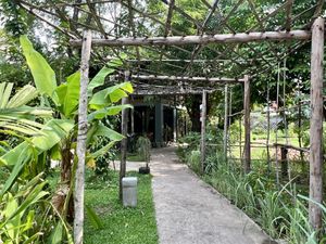   at Banlle in Siem Reap