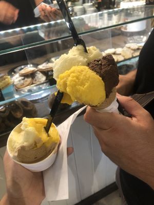   at Fonte della Salute in Rome