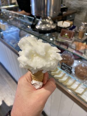 Lemon  at Fonte della Salute in Rome