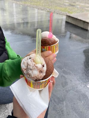 cioccolato & lychee,  chioccolato & bounty  at La Mini Gelateria in Locarno