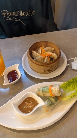 Dumplings and summer rolls at Quy Nguyen - Vegan Living in Berlin