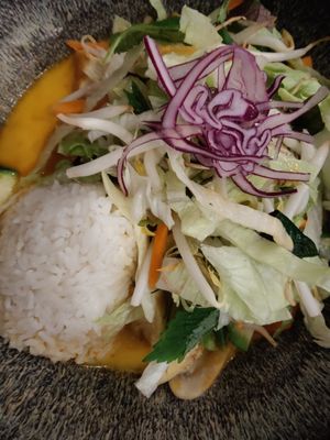 Rice dish, the number 16. at Quy Nguyen - Vegan Living in Berlin