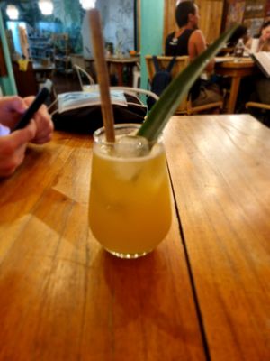 Kombucha at Organico Fortuna in La Fortuna