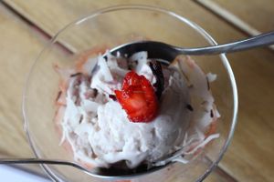 COCO-HIBISCUS VEGAN ICE CREAM at Organico Fortuna in La Fortuna