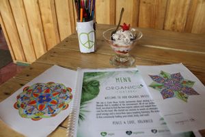 MANDALA COLORING at Organico Fortuna in La Fortuna