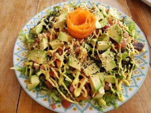 Vegan nachos at Organico Fortuna in La Fortuna