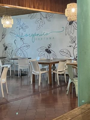   at Organico Fortuna in La Fortuna